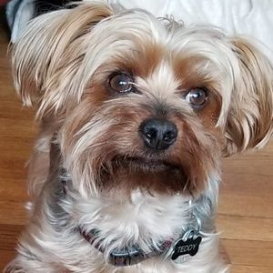 Meet your Posher, Wilfredo